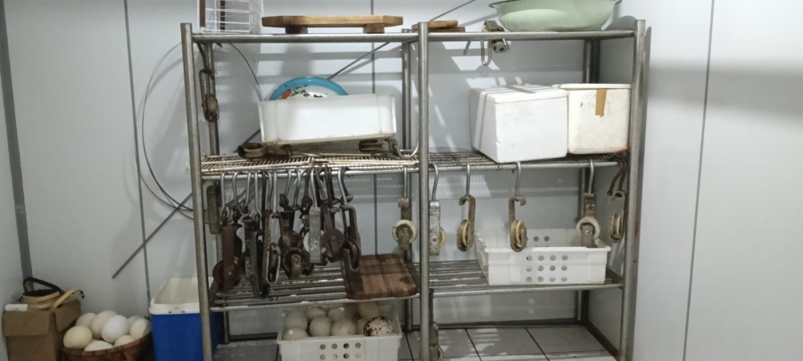 10 Bedroom Property for Sale in Boshof Free State